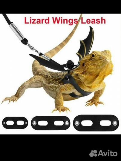 Ошейник для питомцев