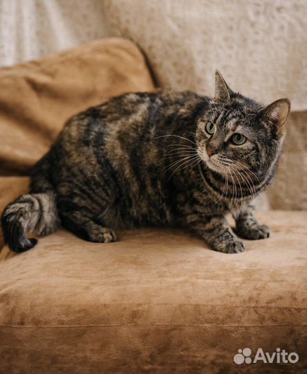 Милочка уже 2 года ждет тебя