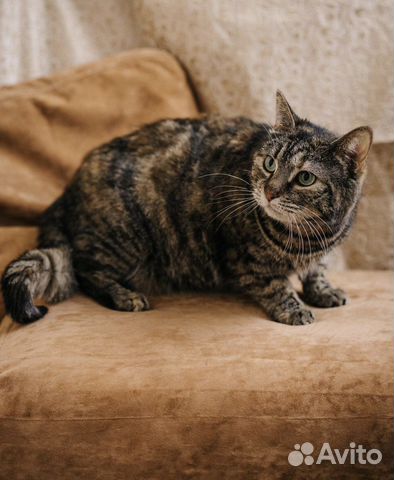 Милочка уже 2 года ждет тебя