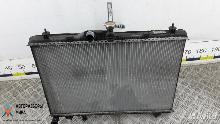 Радиатор (основной) Renault Koleos 2009 214003414R