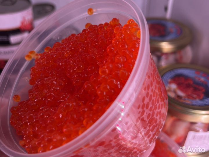 Икра форели premium quality 2023 год