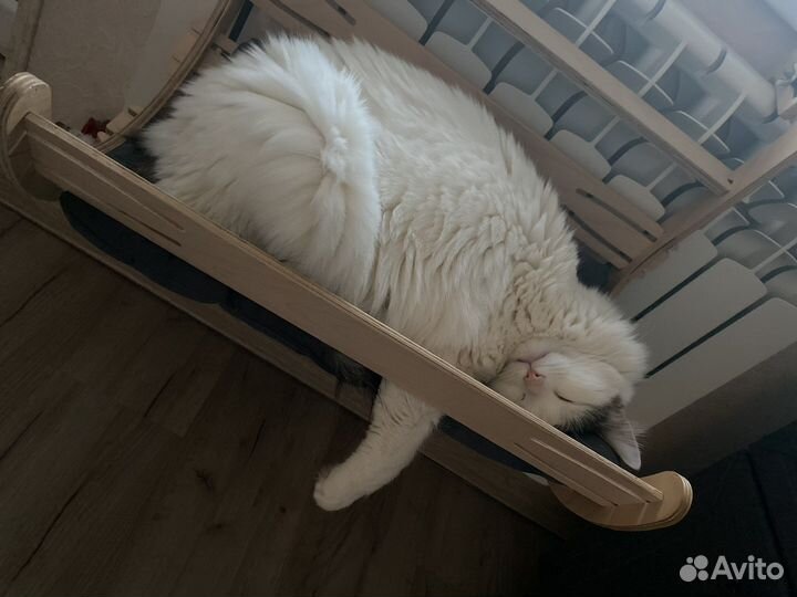 Лежанка/гамак для кошки
