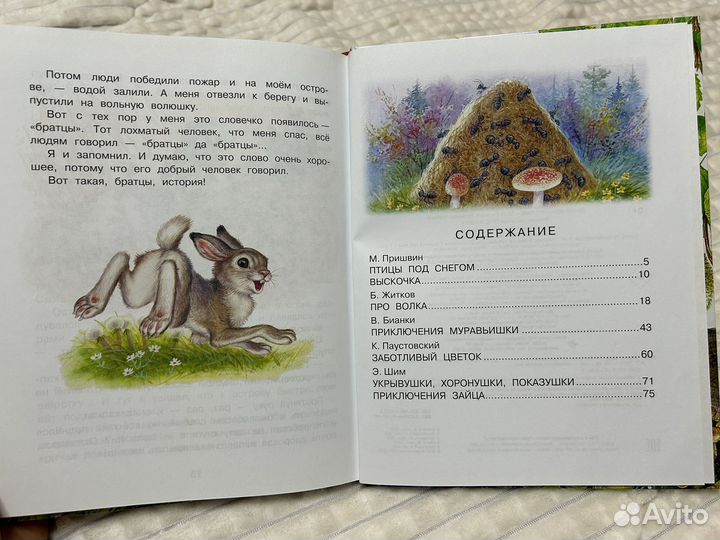 Сказки леса