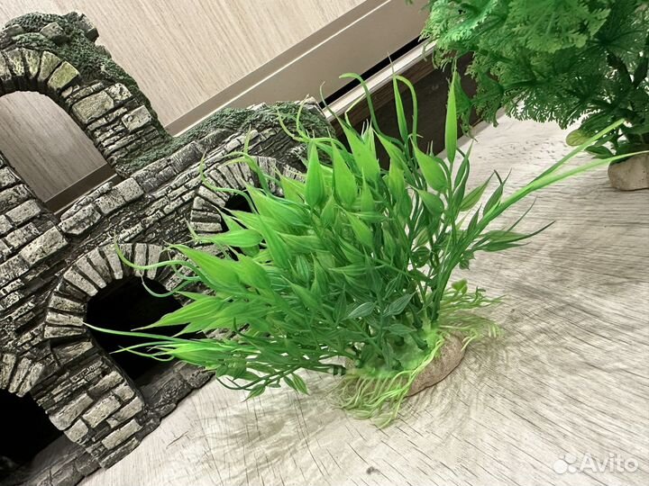 Декорации для аквариума, растения и др