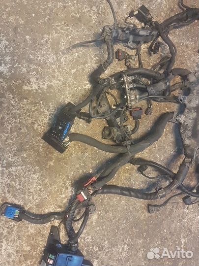 Проводка моторного отсека KIA carnival 2006