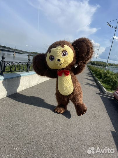 Игровая программа аниматор Ушастик