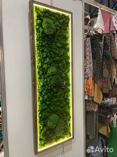 Картина из мха