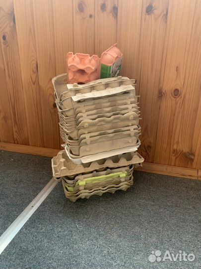 Ячейки для яиц