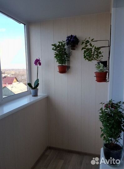 Цветные ламинированные окна