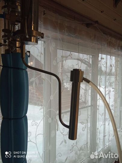Попугай