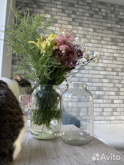 Банки бутыли сссср коричневые