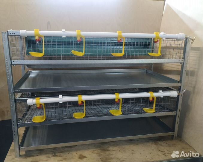 Клетки для содержания перепелов