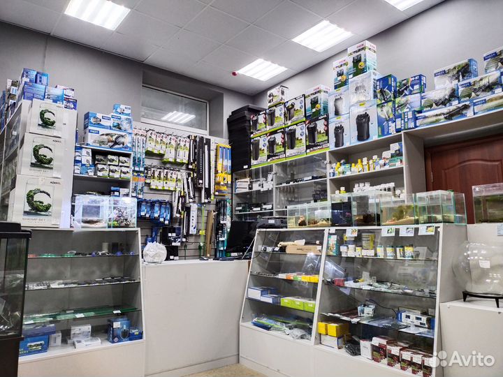 Магазин профессиональной аквариумистики в Казани