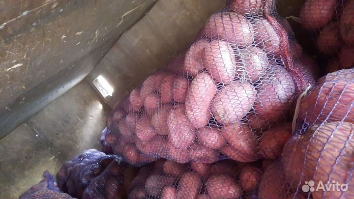 Картофель С доставкой