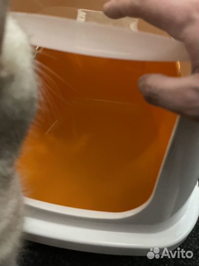 Закрытый лоток для кошек большой, туалет-домик