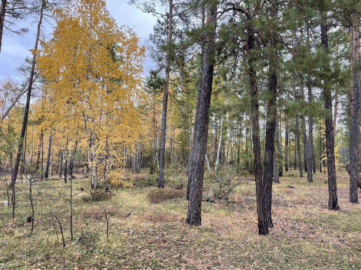 Участок 8,51 га (ИЖС)