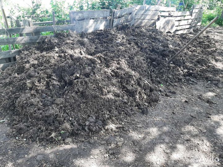 Перегной Коровий, Навоз коровий