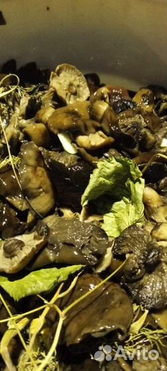 Сушеные яблоки