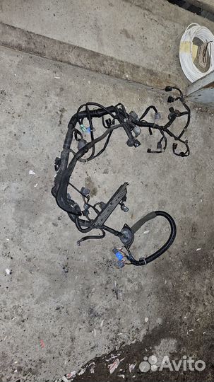 Моторная коса Honda Accord-Torneo 1997-2002 год