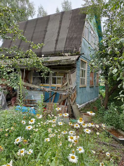 Участок 10 сот. (СНТ, ДНП)