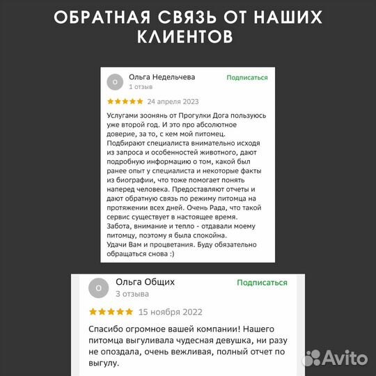 Выгул собак/домашняя передержка/зооняня/кинолог