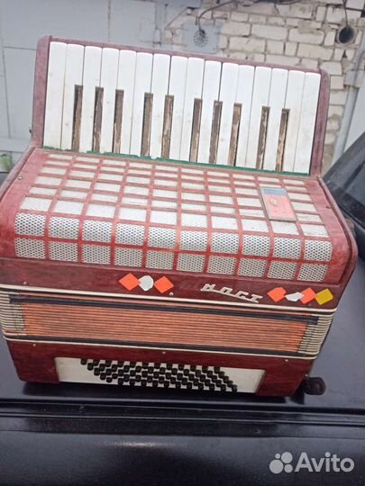 Аккордеон юность 2