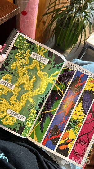 Хронозис негарестани