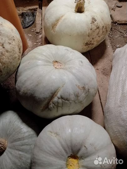 Продам картофель и тыкву