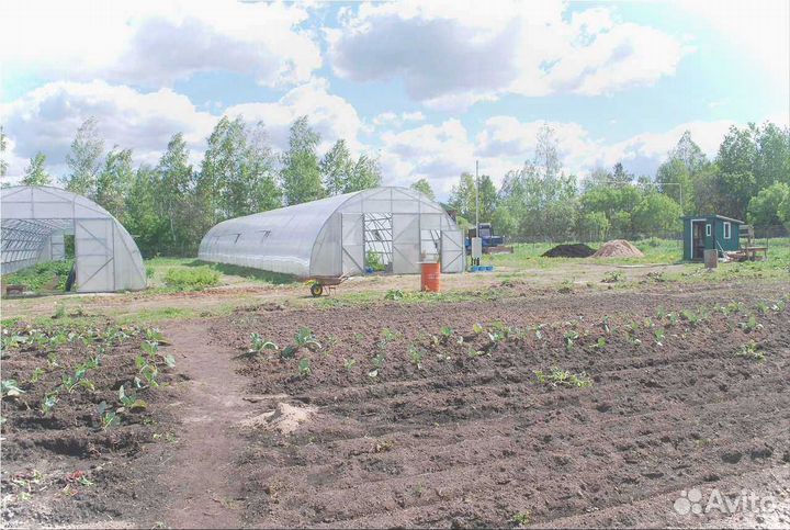 Теплица промышленная с доставкой