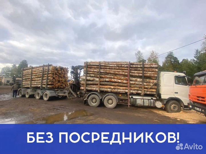 Дрова на дачу