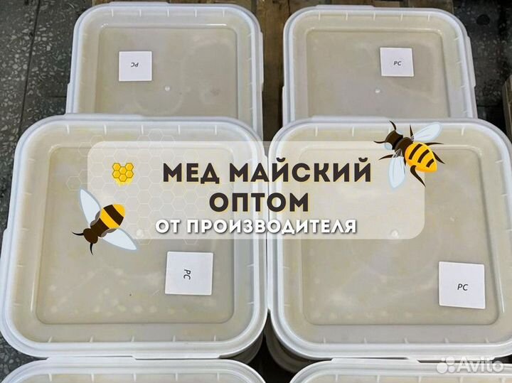 Мёд свежий оптом. Майский качка 2023г