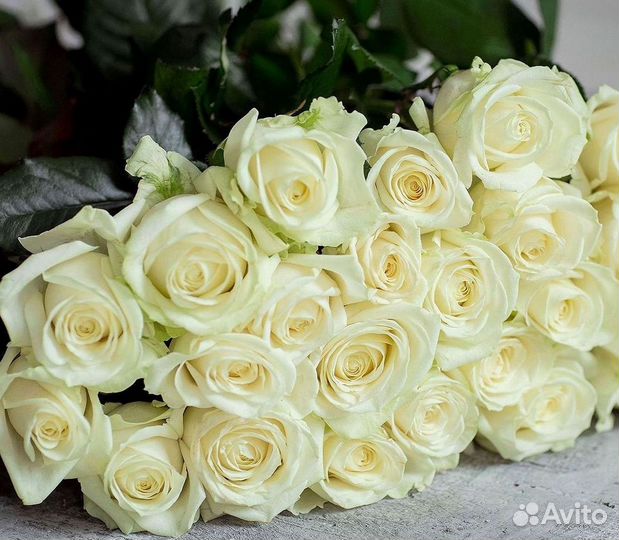 101 Роза Цветы Букеты 51 25 Роз Доставка