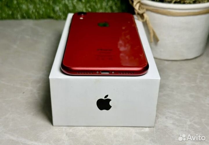 iPhone Xr, 128 ГБ