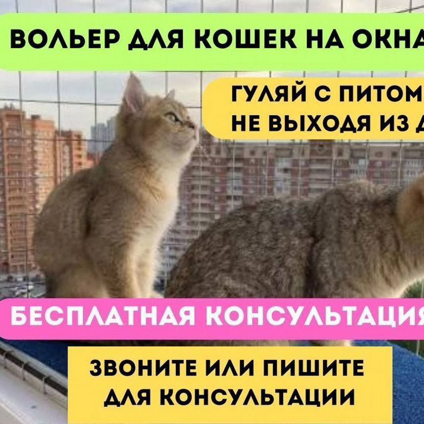 Балкончик для выгула кошки