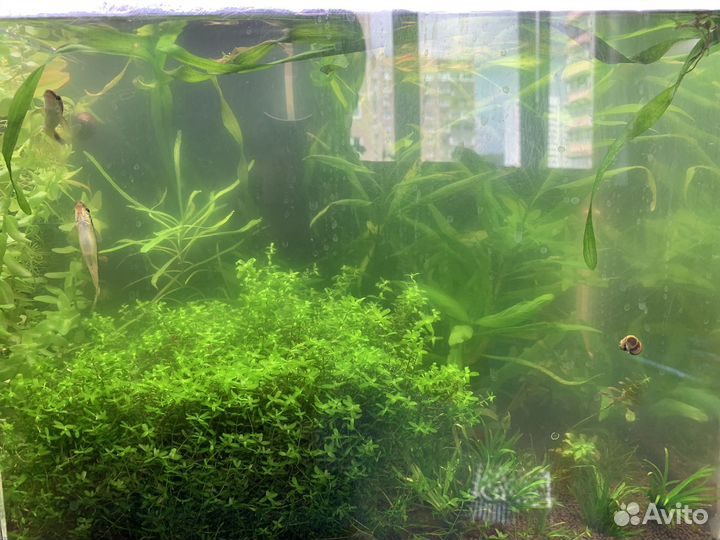 Аквариум в сборе