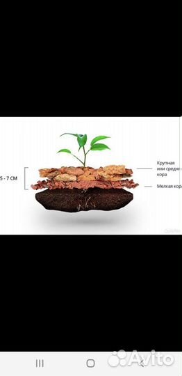 Мульча кора лиственницы Сибирской