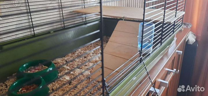 Клетка для грызунов