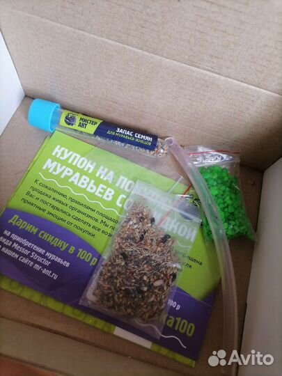 Муравьиная ферма с муравьями