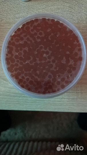 Красная икра 2023