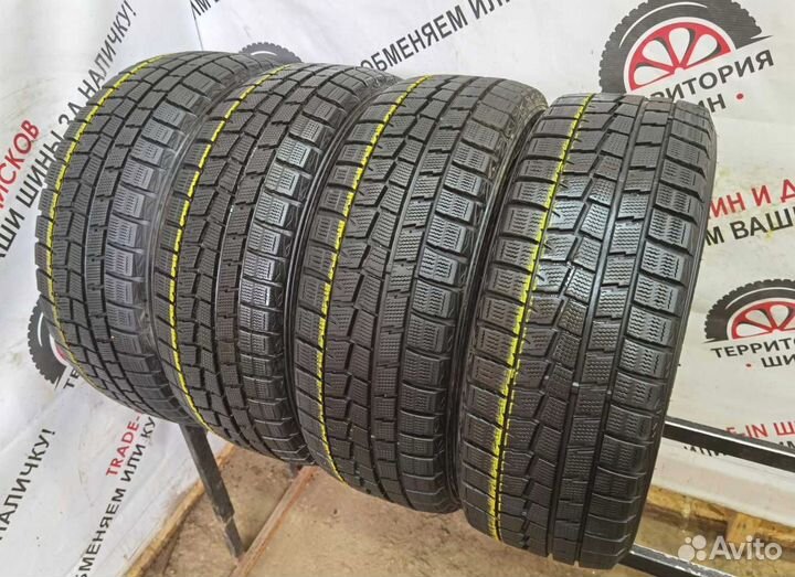 Dunlop Winter Maxx WM01 205/55 R16 91Q