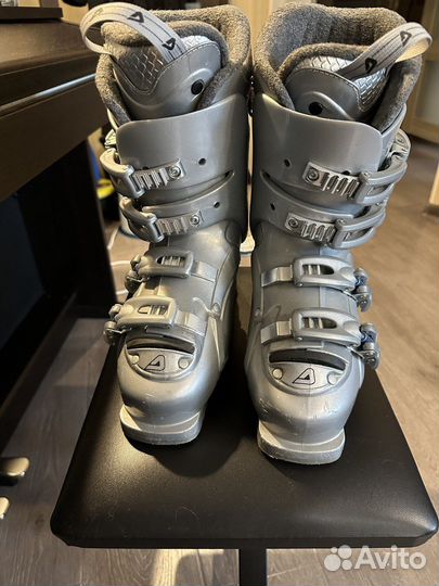 Горные лыжи