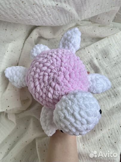 Черепашка Лили