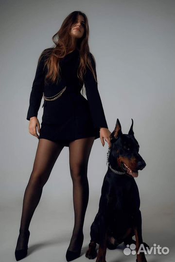 Вяжу за Щенка на выбор