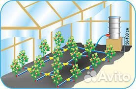 Набор капельного полива