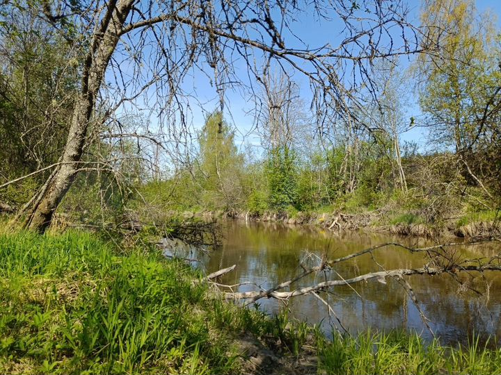 Участок 6 сот. (СНТ, ДНП)