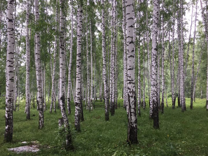 Участок 22,4 сот. (ИЖС)