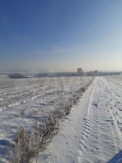 Участок 15 сот. (СНТ, ДНП)