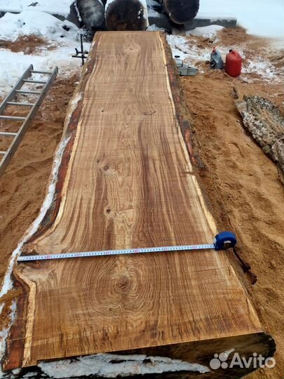 Слэб дерева дуб