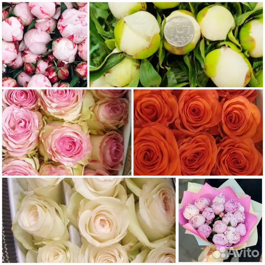 Пионы букеты/ пионы оптом/ розы букеты с доставкой