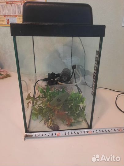 Аквариум 20 литров, фильтр, камни и растения иск